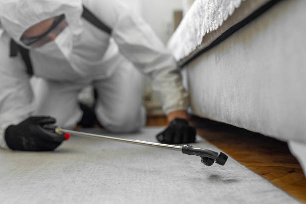 Professional Ant Control technician working in Center Point, TX